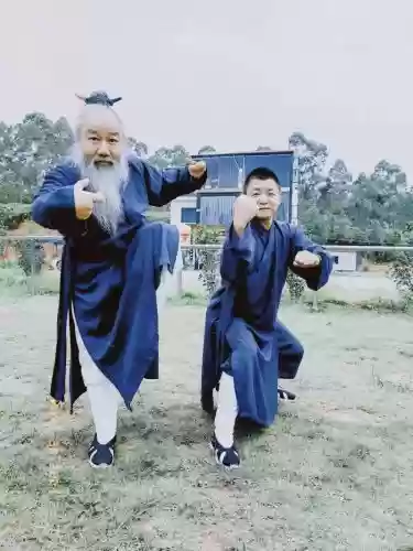 太极宗师阵容插图