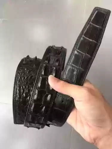 鳄鱼带装备