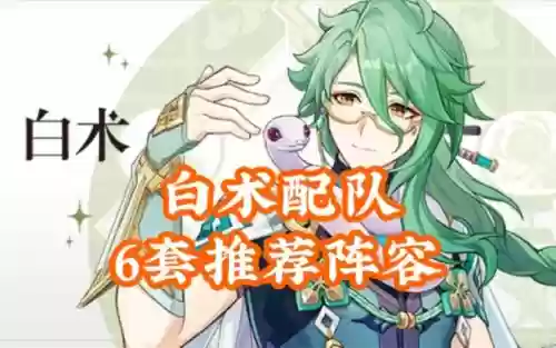 白术阵容推荐插图
