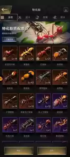 蚂蚁8阵容插图