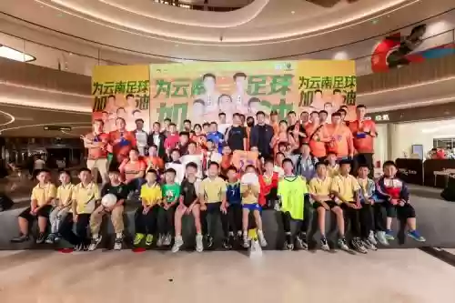云南小队阵容插图