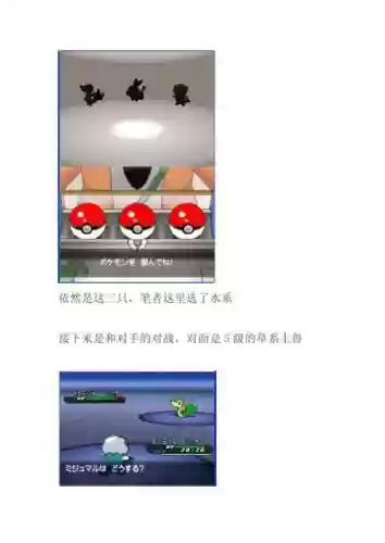 口袋妖怪黑白一周目攻略插图