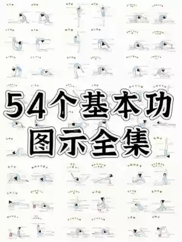 太阳龙之舞技能学习