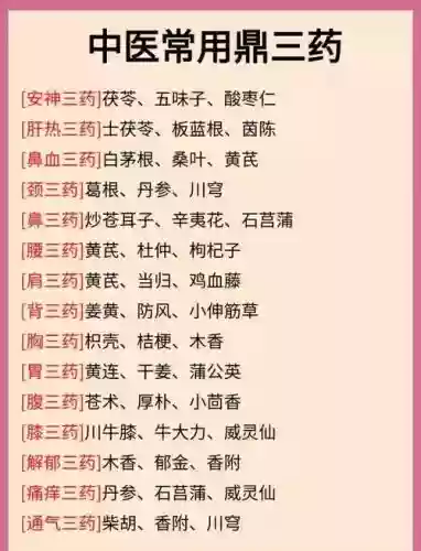 药尚阵容搭配插图