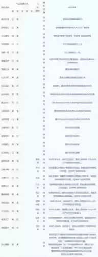 梦幻西游结婚等级