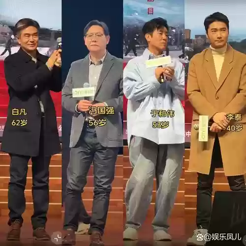甲方乙方全明星阵容搭配