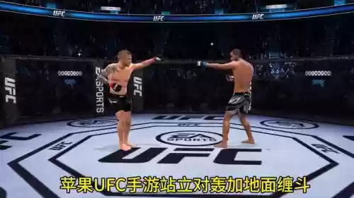 苹果商店里ufc的游戏攻略