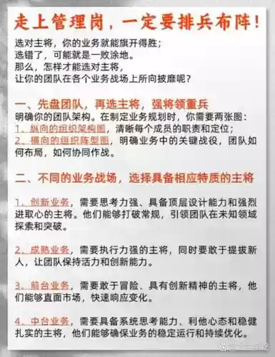 军政阵容搭配