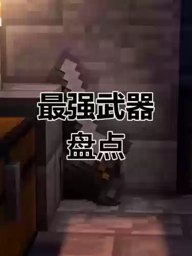 我的世界之熊孩子武器