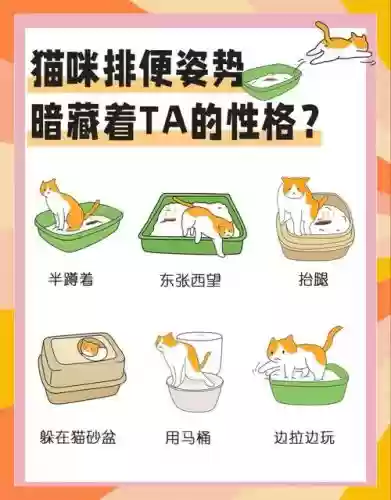 便喵的人物攻略_1插图