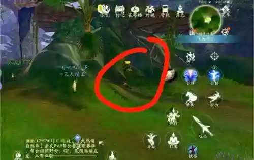 剑五毒三门派宠物攻略