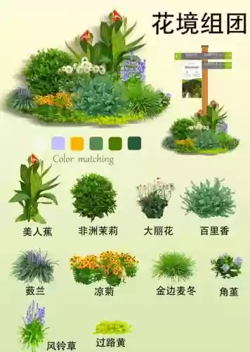 植物阵容搭配插图