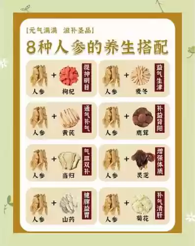 人参阵容搭配_1插图