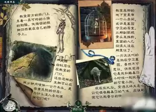 残酷谎言新娘全攻略