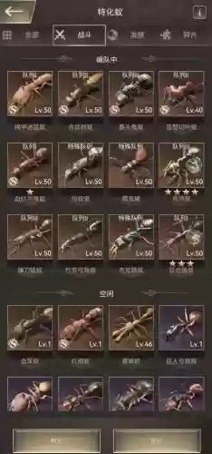 蚂蚁阵容搭配_1插图