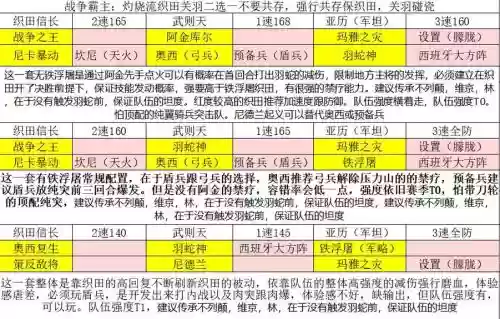 文明与征服肉盾搭配阵容