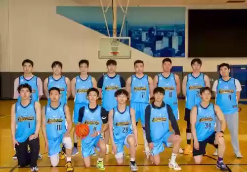 阵容搭配篮球