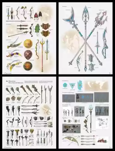 荒野之息武器图鉴插图