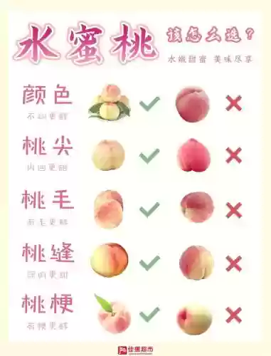 蜜桃日本官网攻略插图