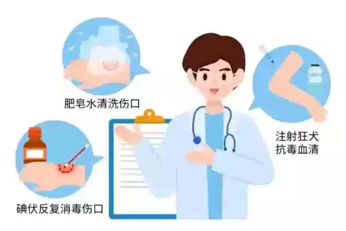 咬咬是什么技能_1