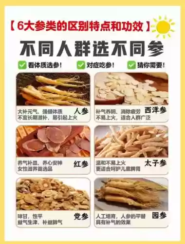 人参阵容搭配_1