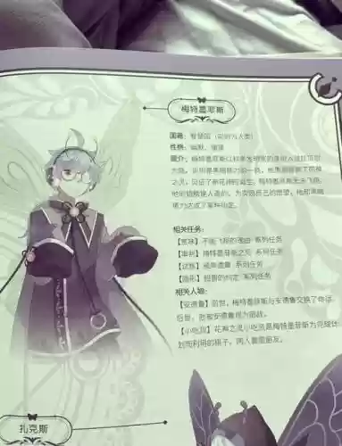 小花仙攻略视频之神秘人