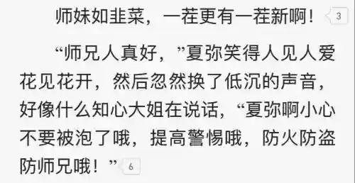 防师兄攻略插图