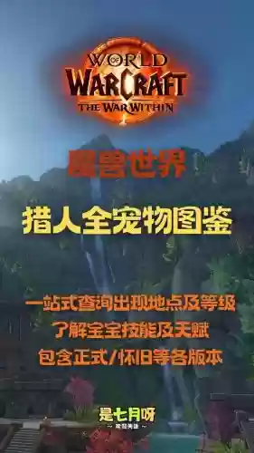 魔兽世界宠物战斗攻略_2