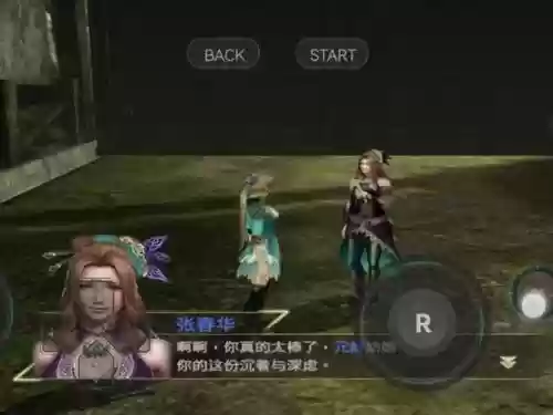 无双7王元姬装备技能