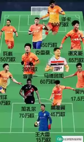 泰山队下赛季阵容搭配