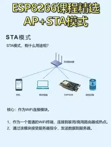 esportsculb攻略