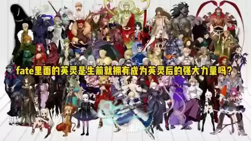 fate阵容搭配_1插图