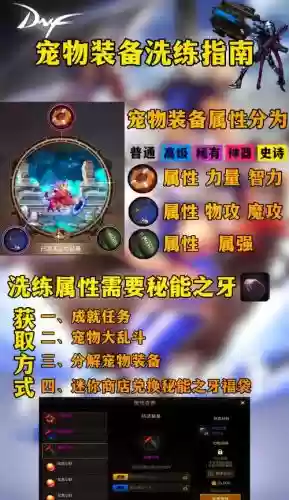 dnf90版本宠物装备_1插图