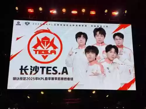 tes阵容搭配插图