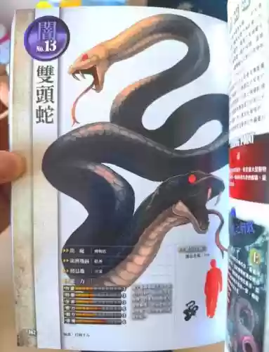 孪蛇图文攻略_1