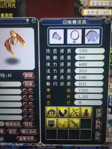 梦幻西游雷鸟人银白色