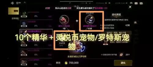 dnf90版本宠物装备_1