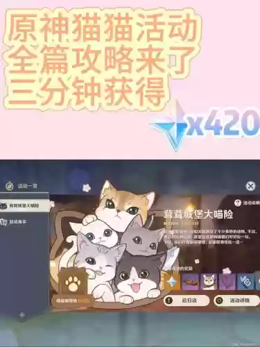 原神猫猫主C搭配什么阵容