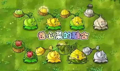 植物大战僵尸菜地阵容搭配，植物大战僵尸菜头插图