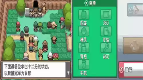 口袋妖怪钻石开局阵容搭配，口袋妖怪钻石攻略图解二周目插图