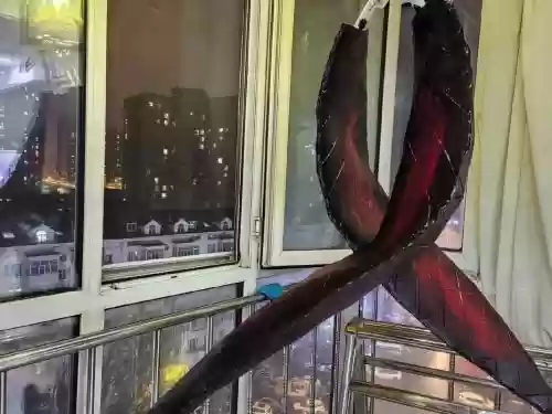 赫子武器，赫子的真正面目插图