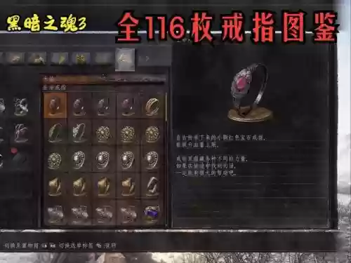 黑暗之魂3ce调装备，黑暗之魂3ce改物品插图