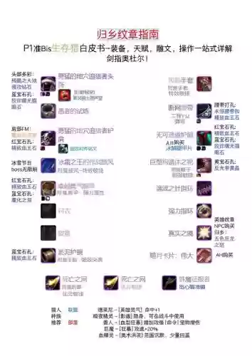 猎人用什么属性装备，猎人带什么插图
