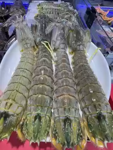皮皮虾装备下载，皮皮虾198版本插图