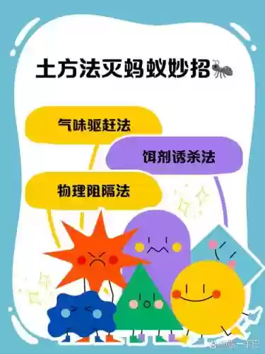 道场蚁后五技能，蚁道怎么找插图