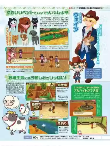 牧场物语三个村庄夏季攻略，牧场物语三个村庄攻略一年插图1