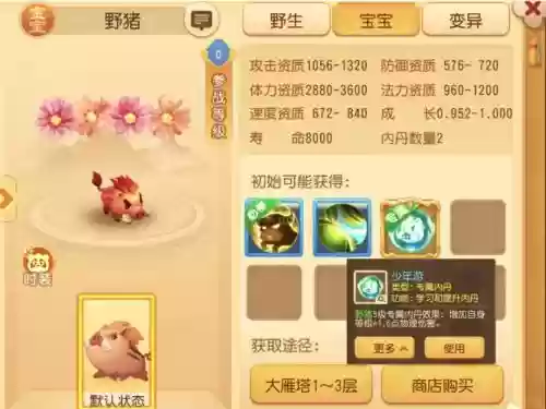 梦幻西游手游野猪资质，梦幻西游手游野猪资质怎么获得插图