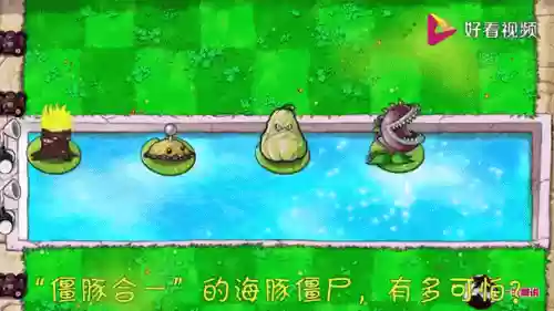 植物大战僵尸海豚阵容搭配，植物大战僵尸无尽海豚插图