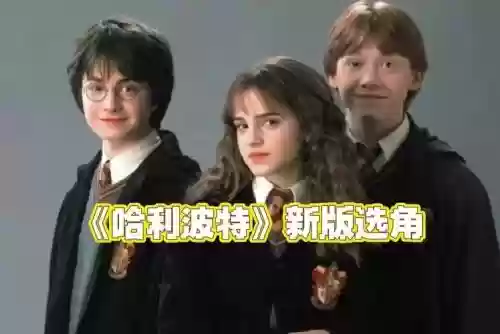 哈利波特新随从阵容搭配，哈利波特随从显行怎么用插图1