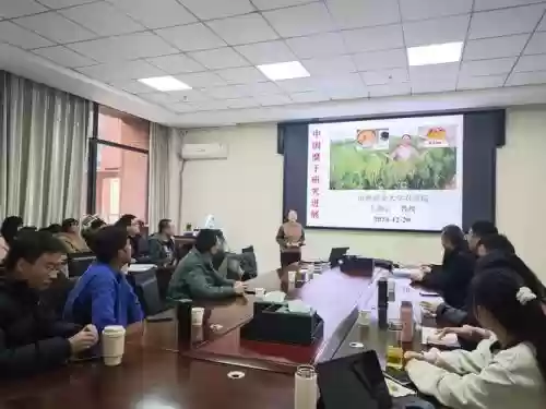 终身进修学者阵容搭配推荐，终身教授的条件